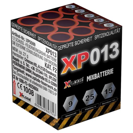 XP013